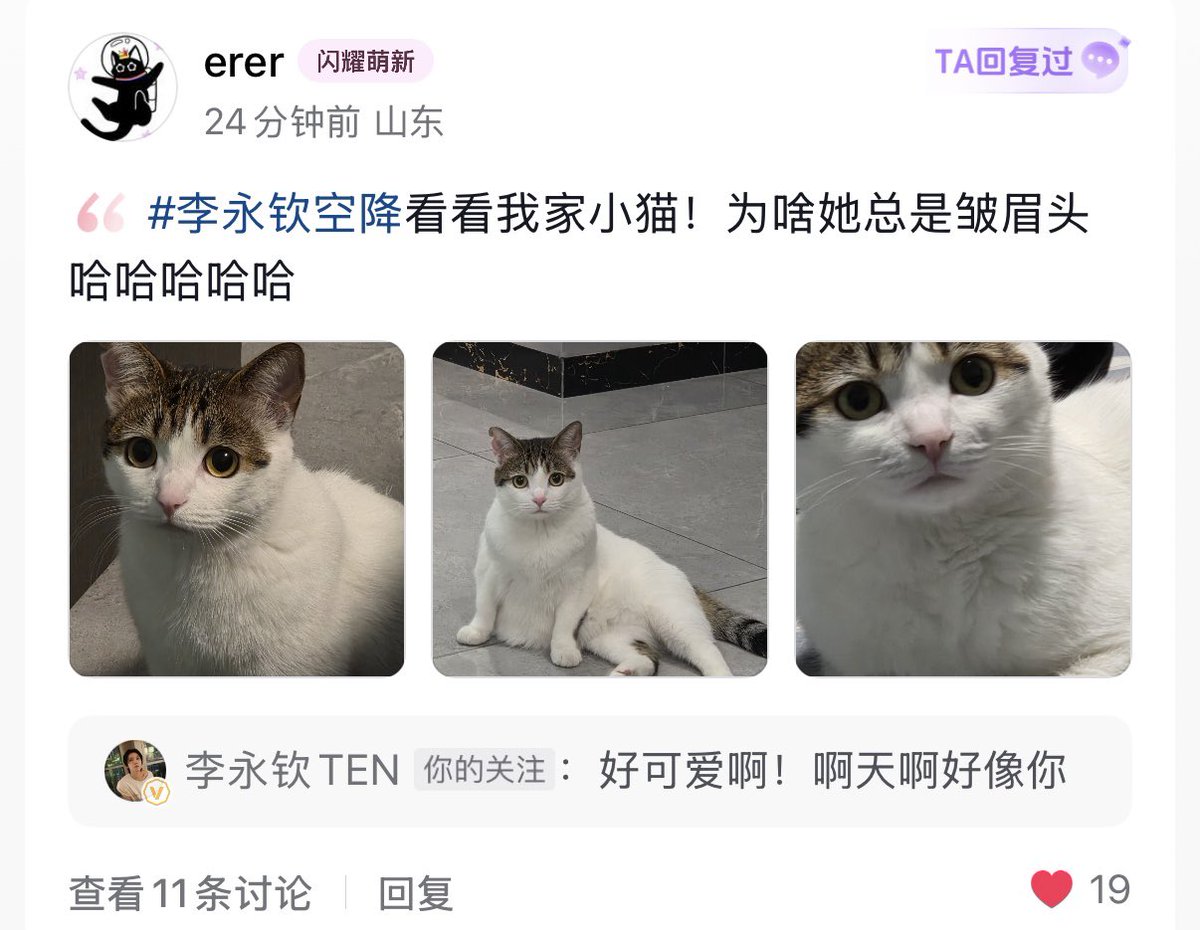Douyin
💜ดูแมวบ้านชั้นสิ ทำไมเค้าชอบขมวดคิ้วกันนะ 55555
🐱น่ารักมากเลย! เหมือนคุณจัง