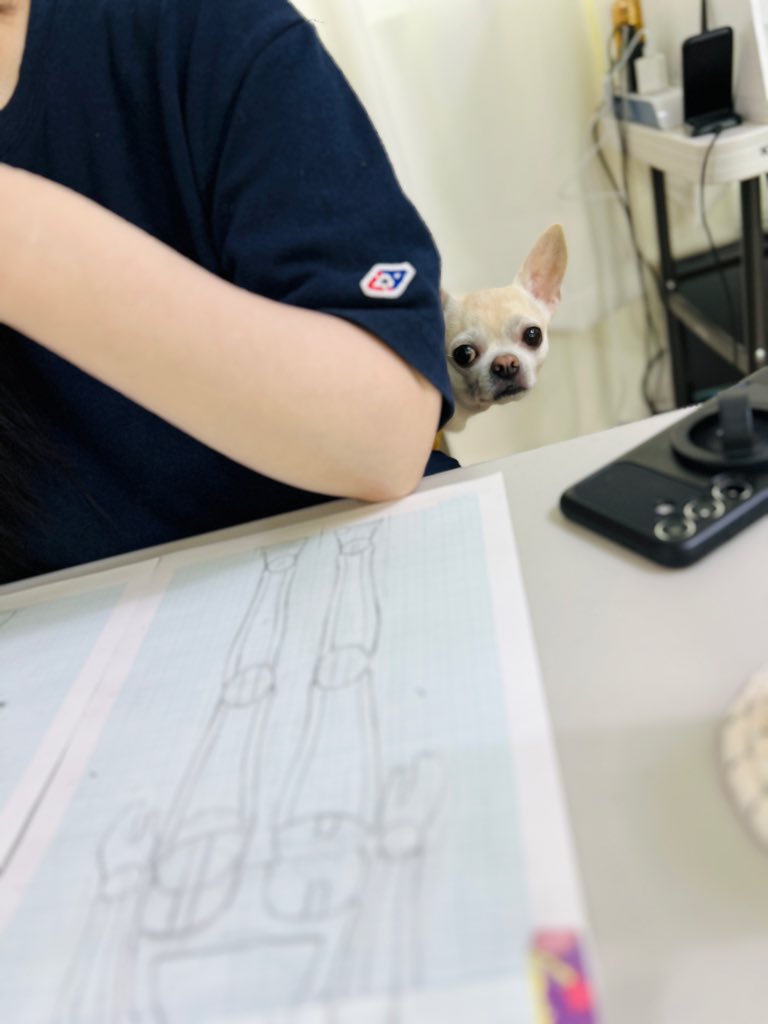 ancon__'s tweet photo. -차근차근 하나씩 만들어가는 인형💕
-폴라로이드 사진 선물받은 공방상주견🐕
-주말에 또 만나요 ! https://t.co/XaEvckYMWy