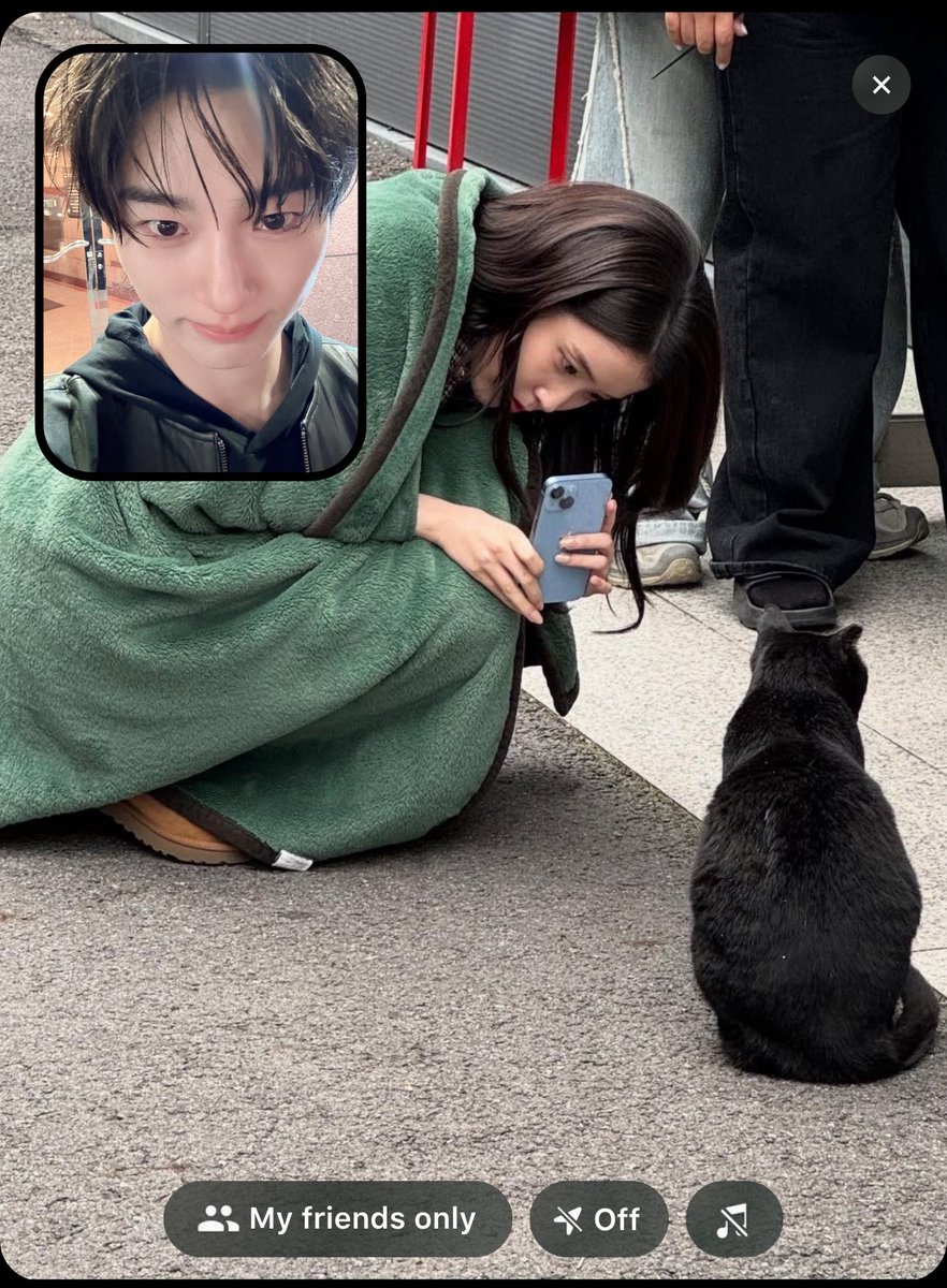 🧣 tweet media