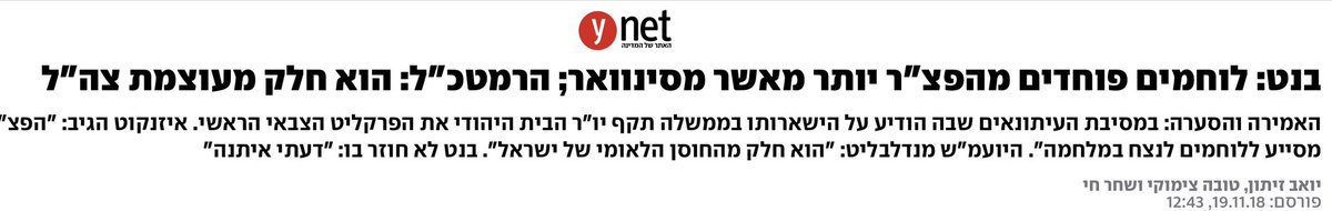 Ariel Kallner אריאל קלנר tweet media