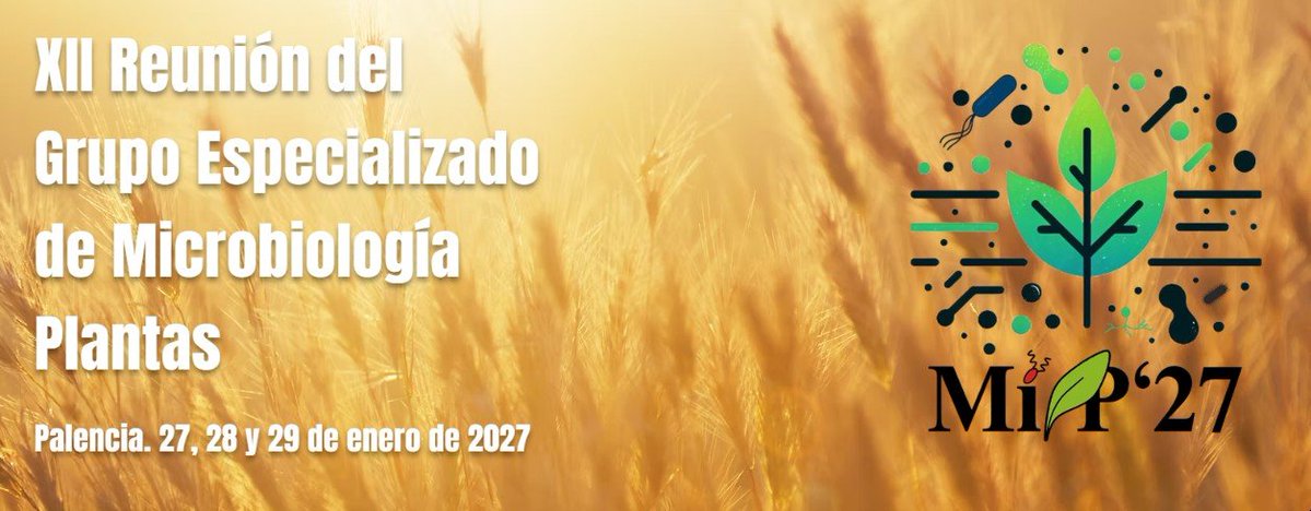 SEM tweet media