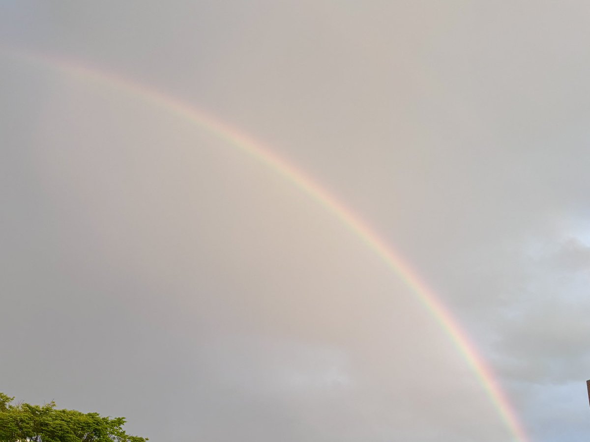 _Meme_1412's tweet photo. 🌈 https://t.co/o1oqBnjiuV