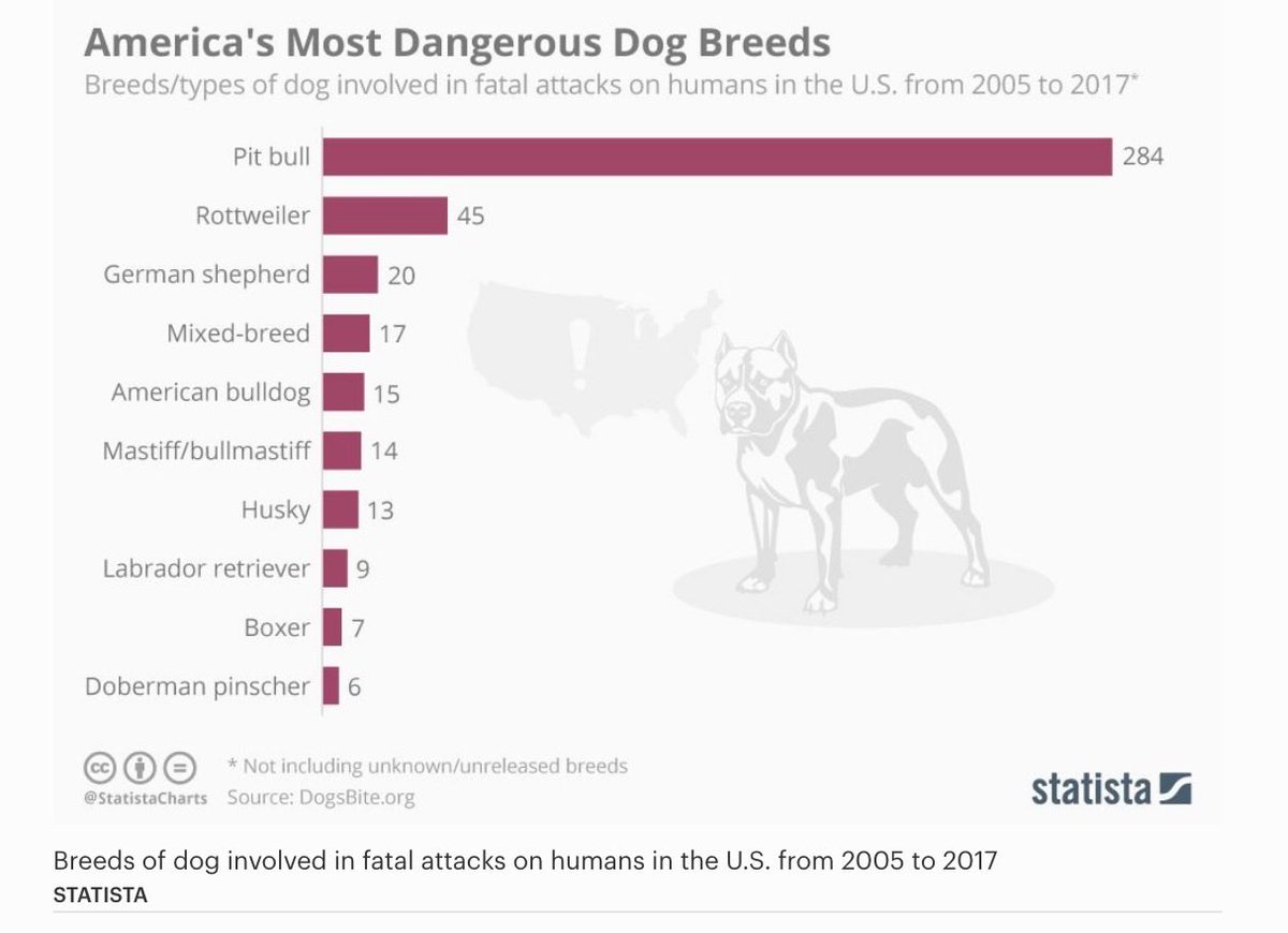 Edwardhuan26191's tweet photo. From the “credible” Forbes, pit bulls are listed as the breed involved in the highest number of fatal dog attacks in the USA from 2005-2017.
The number is shocking. 284 deaths✖️💀✖️
What’s causing the attacks?
#60animals #pitbulls #dogattacks #forbes #dogbreed https://t.co/PQRTRfLYHc