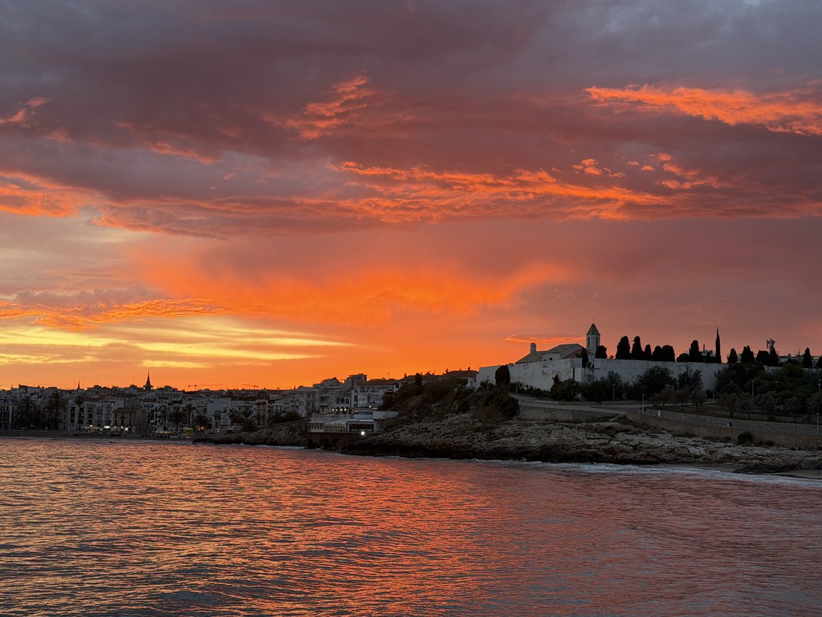 Ben Sitges tweet media