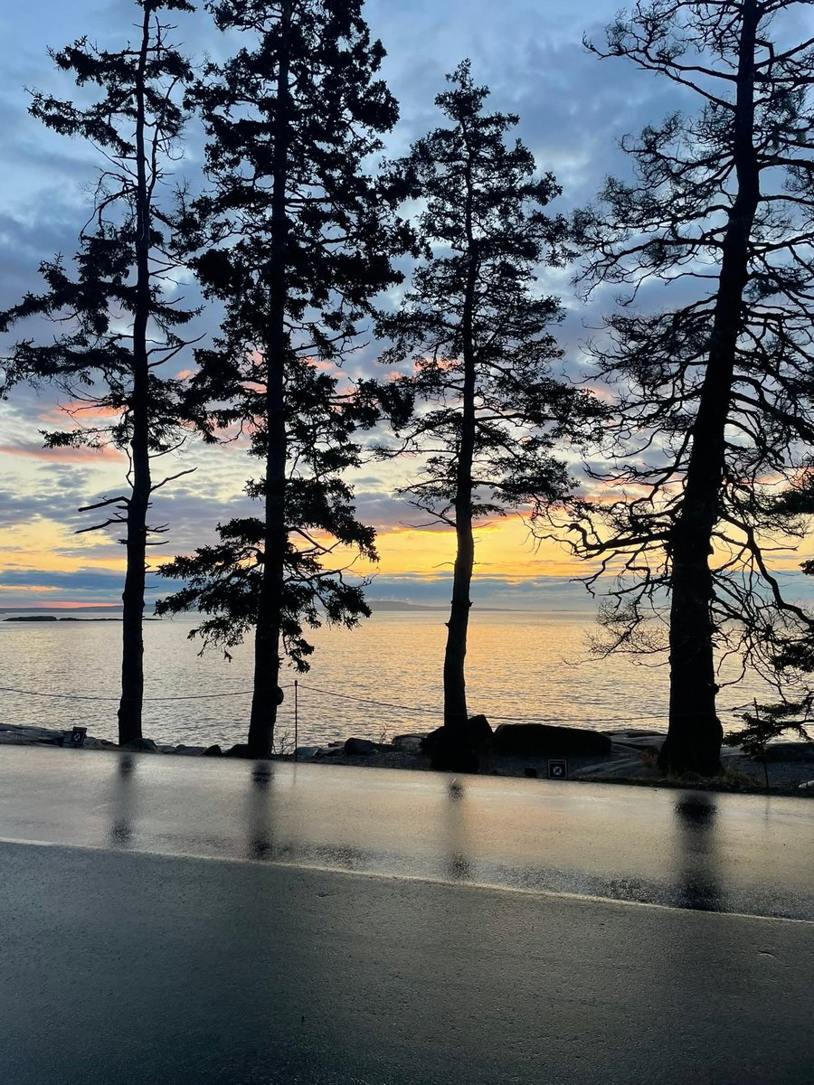 Maggiert2's tweet photo. Good Morning Patriot Friends from Beautiful Bar Harbor Maine 🥰 Happy Hump Day Wednesday! Halfway to the weekend. Make it Great! 😊 https://t.co/64tEJ9Ucy1