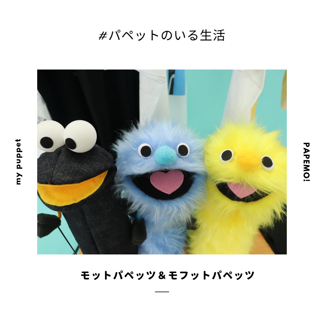 papemo6v6's tweet photo. #パペモ！のパペットやグッズが買える
ONLINE SHOP『パペモ！ストア』がオープン✼
https://t.co/42qcpwRvZn

#モットパペッツ や #モフットパペッツ
があなたのもとへ♡

パペット用バッグ、Tシャツやクリアファイルなどのグッズも。
ぜひチェックしてください☺︎

#パペットのいる生活 
#パペット https://t.co/SKjAxJGNa9