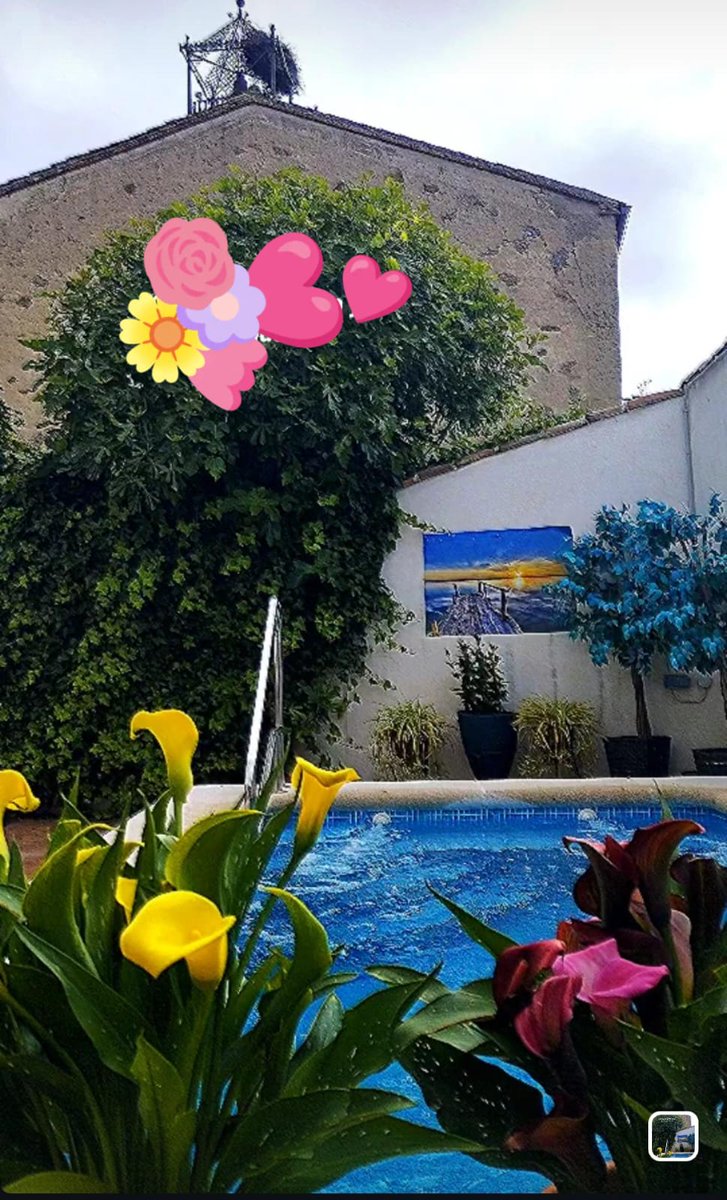 Macurula's tweet photo. Villa Pureza 🩷 https://t.co/h5IvIHjob4