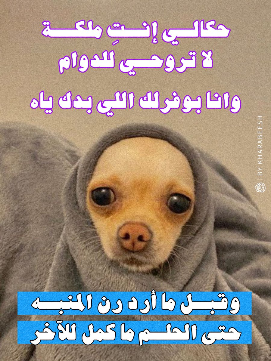 خرابيش tweet media