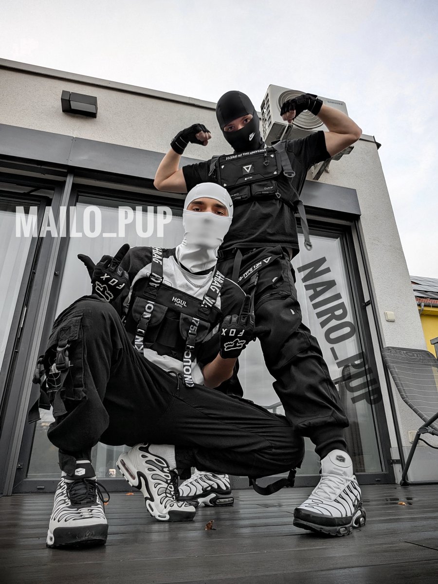 Mailo_pup tweet media
