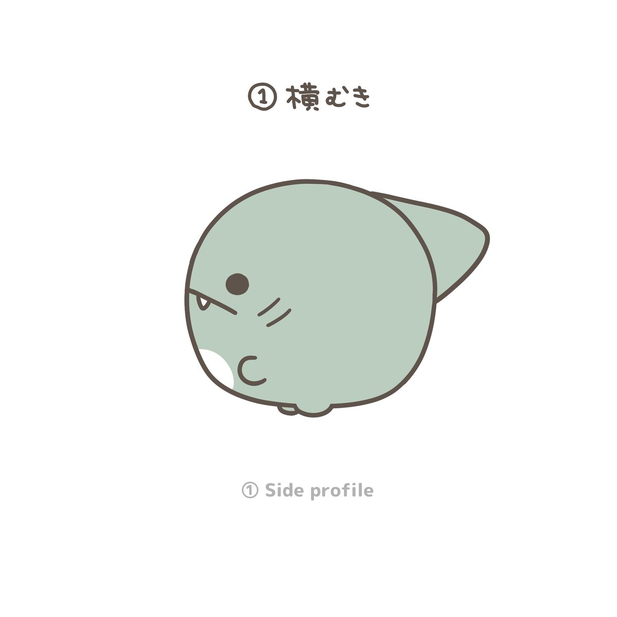 親子イルカ tweet media