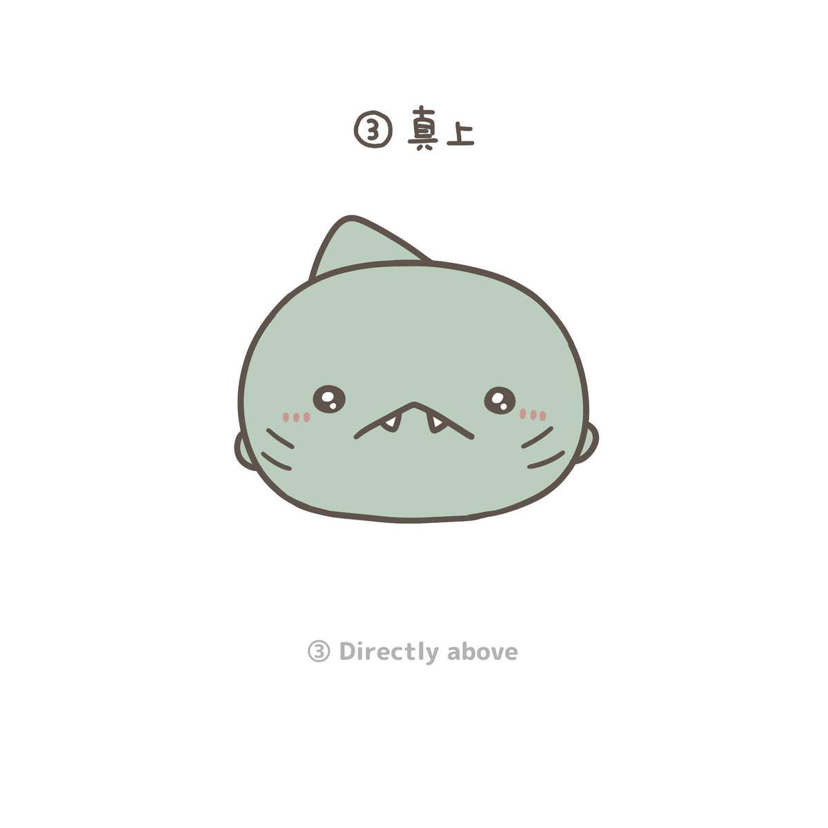 親子イルカ tweet media