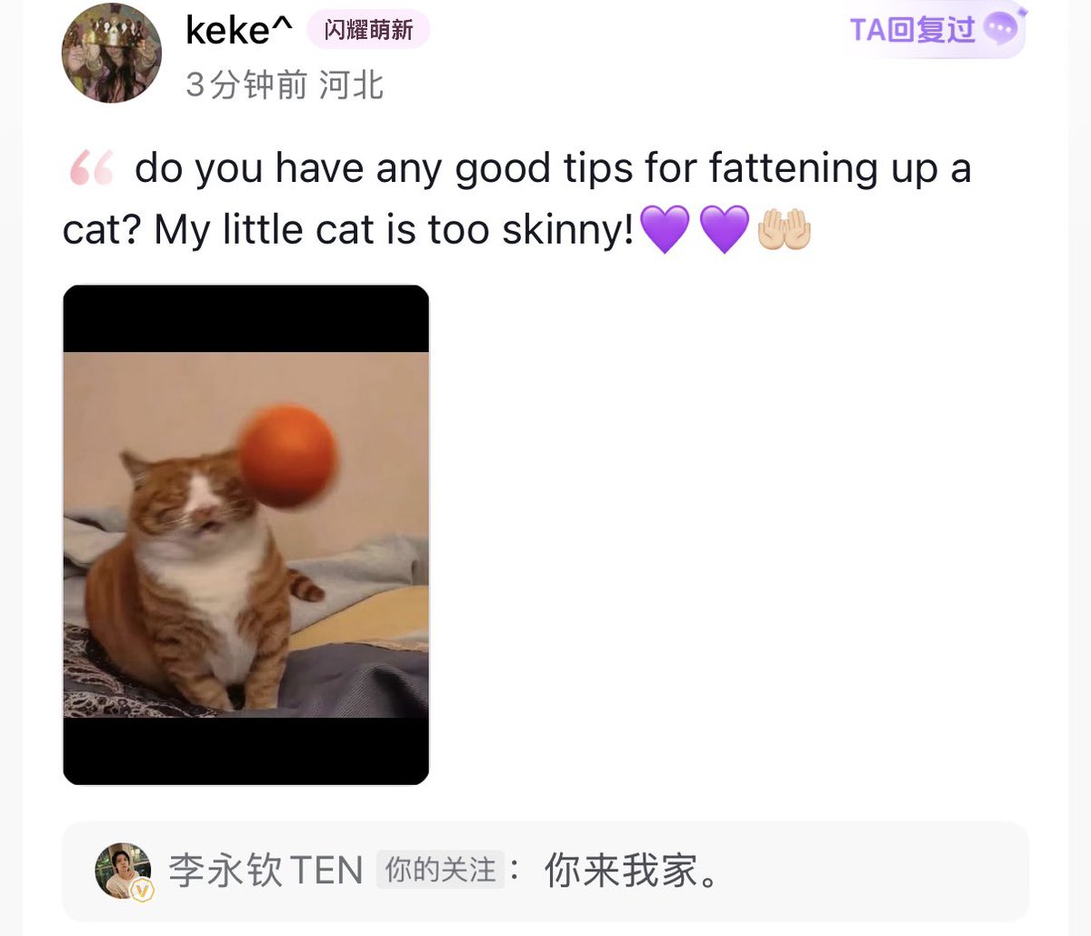 💜คุณมีทิปส์อะไรที่จะทำให้น้องแมวอ้วนขึ้นมั้ย แมวของชั้นผอมไปแล้ว
🐱คุณมาบ้านเตนล์นะ

55555 คนที่เลี้ยงแมวได้จ้ำม่ำที่สุด