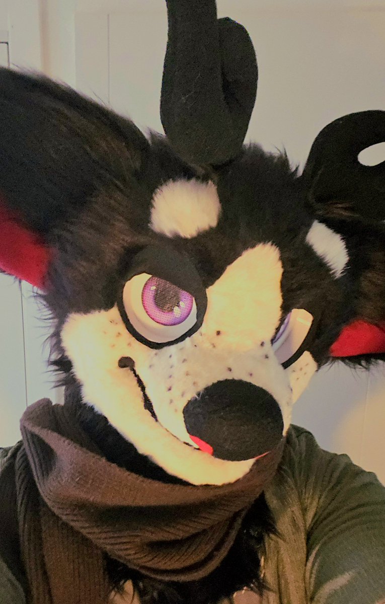 DeerRobinXXX's tweet photo. hoi ~ https://t.co/OgxyvsswpT