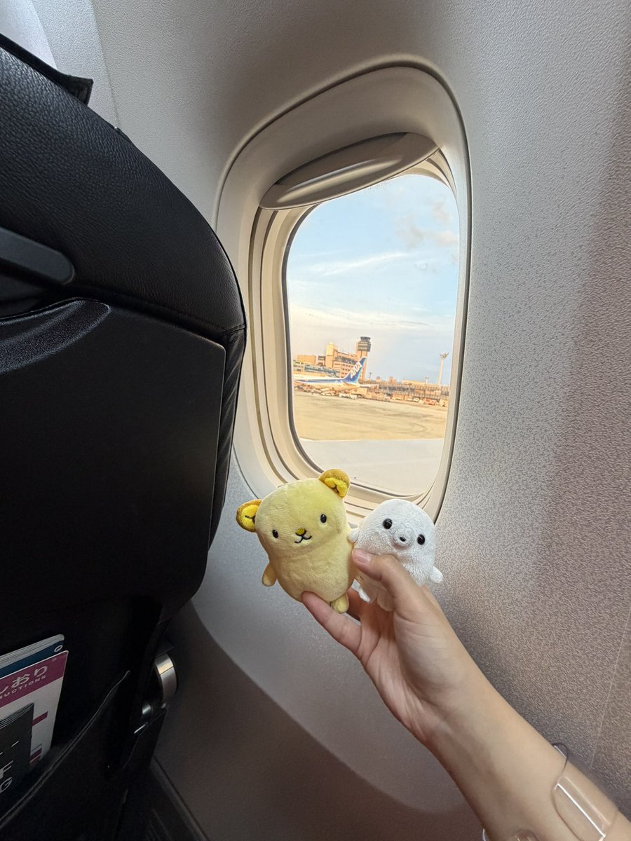 あいちゃん、様お取り置き Post by 侵略者あいちゃん👽🛸 on X: かえりゅ〜✈️
