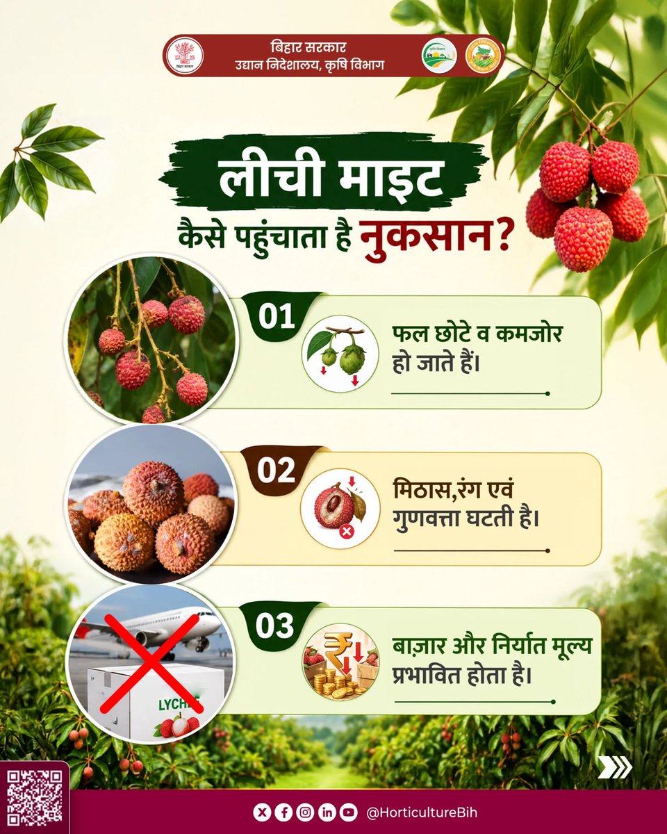 Directorate Of Horticulture, Deptt of Agri, Bihar tweet media