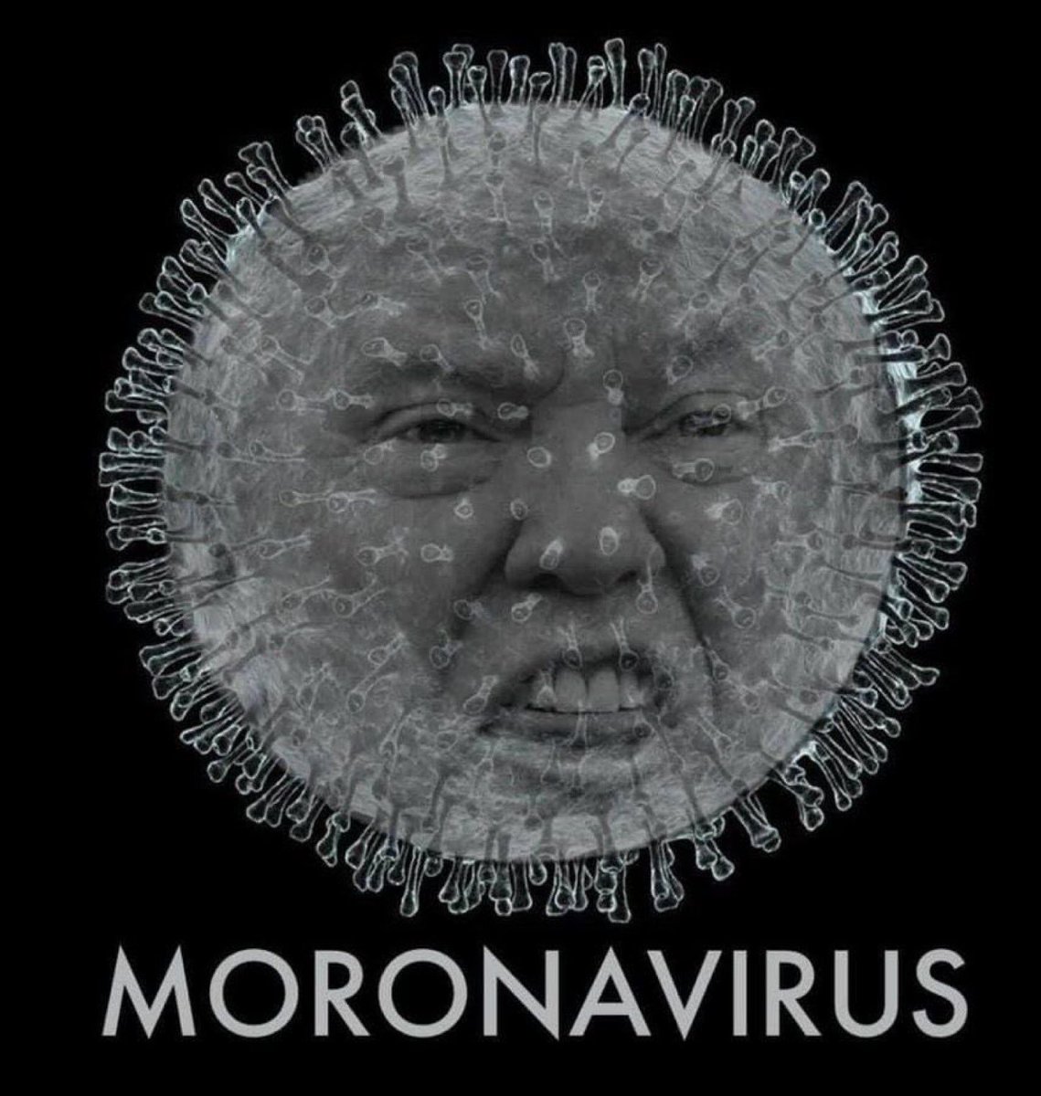 Monti862 tweet media