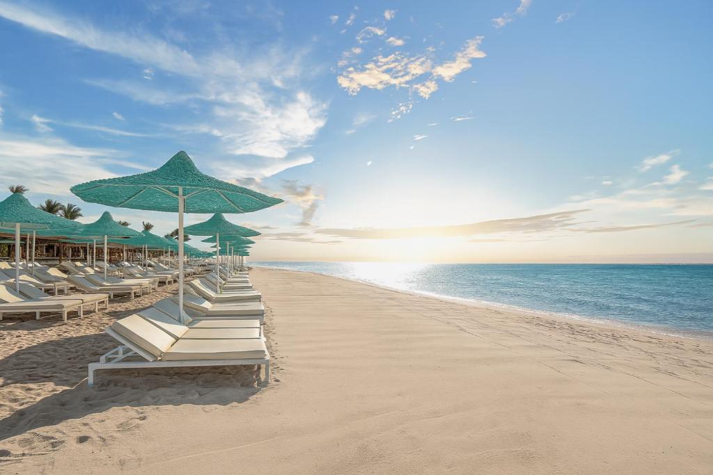 Bashayer Travel tweet media