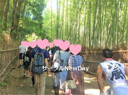 2016newday's tweet photo. ☘️嵐山観光スポットめぐり☘️
🌸絶景やパワースポットめぐりイベントを毎週開催中！🌸
休日は綺麗な景色や人気スポットを楽しみながら、新しい出会いや素敵な思い出を一緒につくりましょう💛✨
💚各地のイベント情報をご確認くださいね！💚
　🌸　https://t.co/teH8BNwBV4　🌸 https://t.co/vIfsLkaZaQ