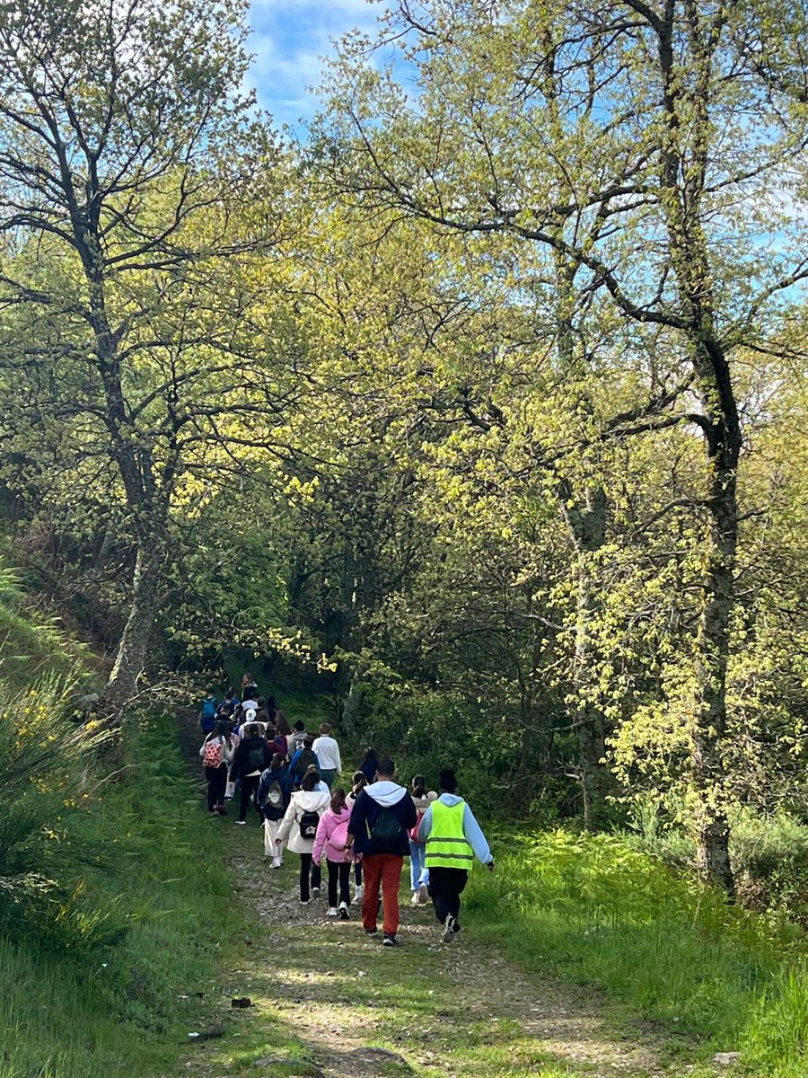 DiscipulasLeon's tweet photo. Nuestros chicos de la Weekcamp están hoy de excursión en medio de la naturaleza zamorana. Han visitado el Lago de Sanabria e incluso algunos valientes se han atrevido a meter los pies... (El agua estaba muuuuu fría)
#weekCamp #Englishisfun #english4all #Sanabria #leonesp https://t.co/3EIx7Lp4nm