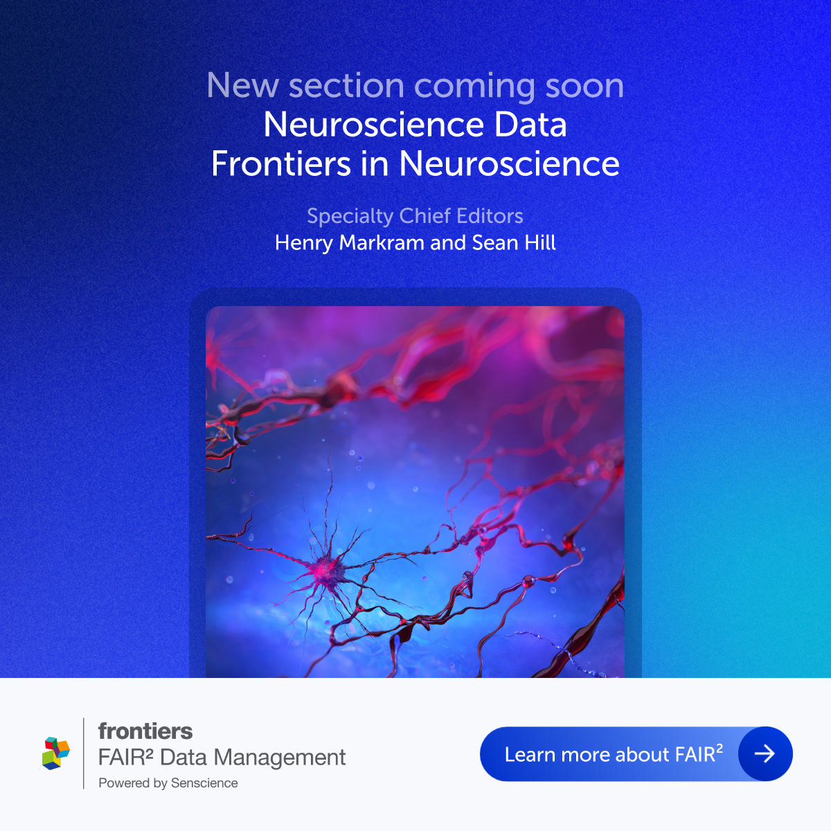 FrontiersIn's tweet photo. Coming soon: Neuroscience Data in Frontiers in Neuroscience.

A new home for FAIR² Data Articles featuring peer-reviewed, citable, interoperable, and AI-ready neuroscience datasets.

Learn more about FAIR² Data Management ➡️ https://t.co/XPuTXZsDgx https://t.co/iJK7Iw0G0v