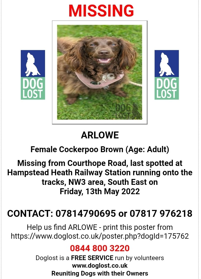 Missing Pets GB tweet media