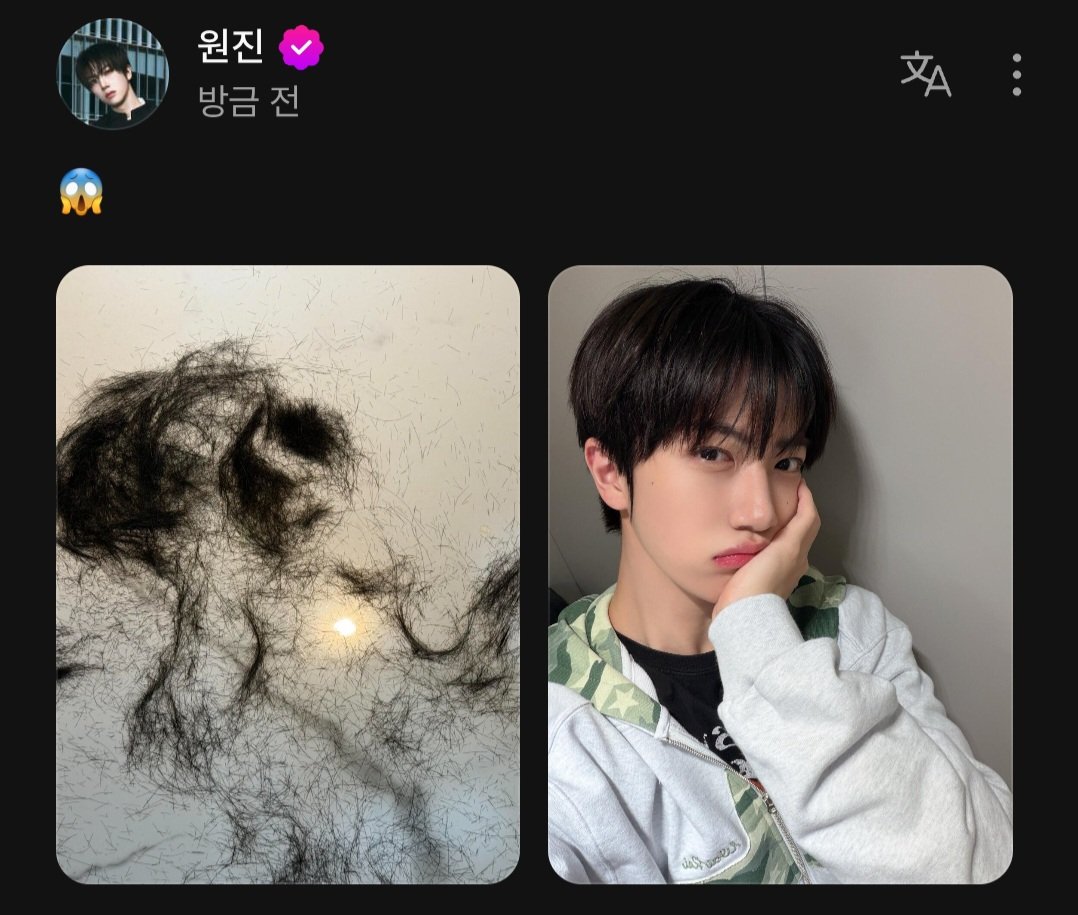 콩 tweet media
