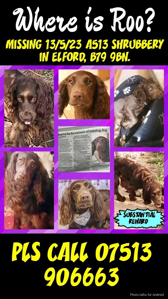 Missing Pets GB tweet media