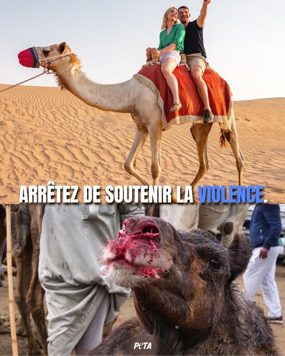 PETA France tweet media