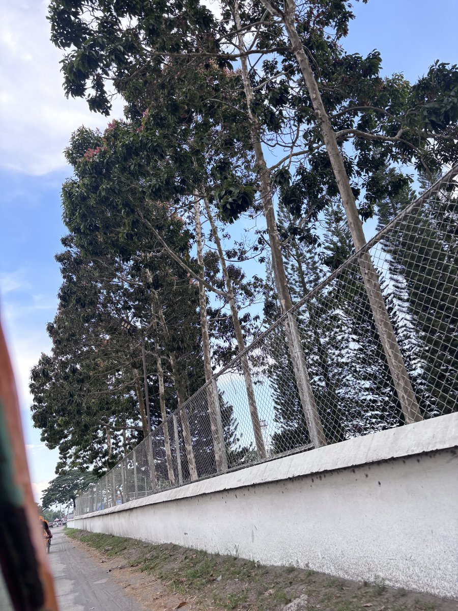 pluk_abel's tweet photo. It’s been a while Polomolok 😍 https://t.co/E96gD22XU3