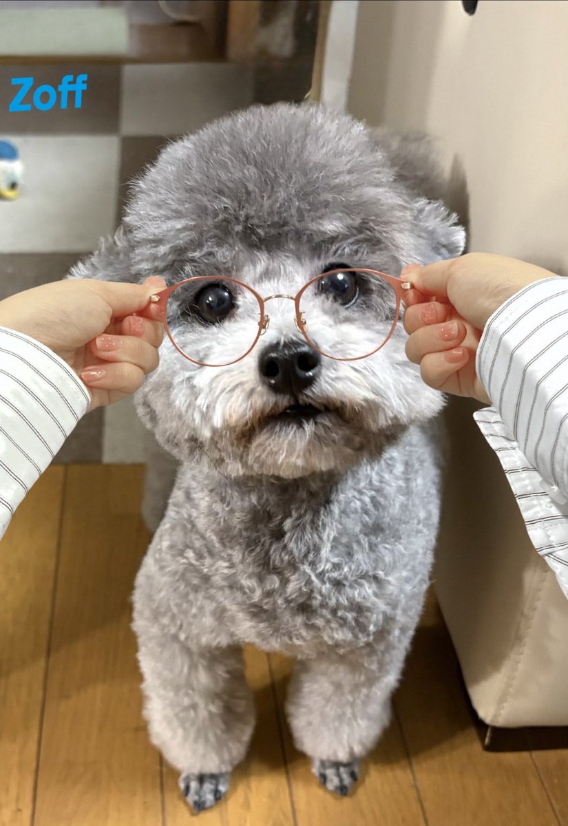 chocosuzoo's tweet photo. 娘が作ってくれました😊👓 https://t.co/3ZrRAR4zkF
