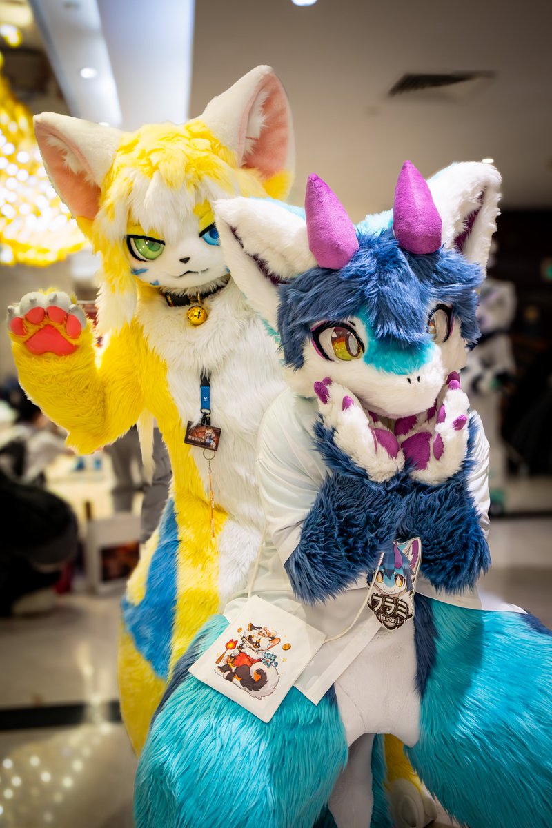 フラミFurami ➡️ Kemocon tweet media