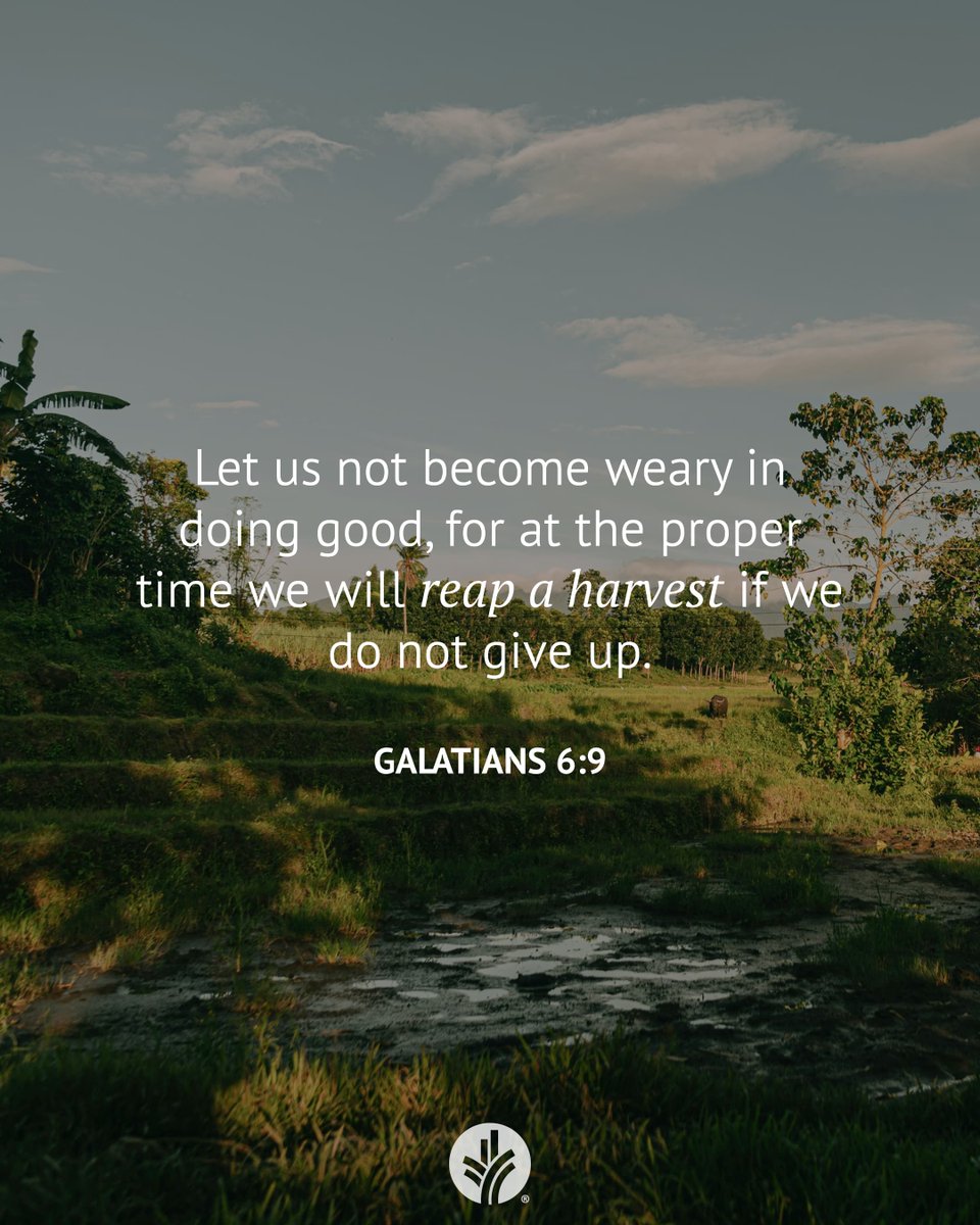 Our Daily Bread tweet media