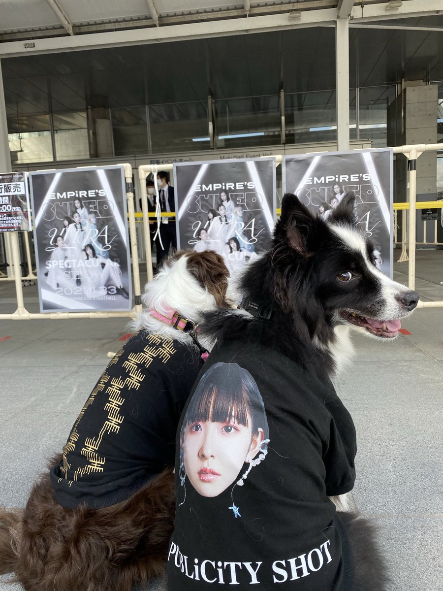 DENDEN_ExWHYZ's tweet photo. まゆちゃんに便乗
思い出いっぱい！
#愛犬の日 https://t.co/m7i8mu3LbG