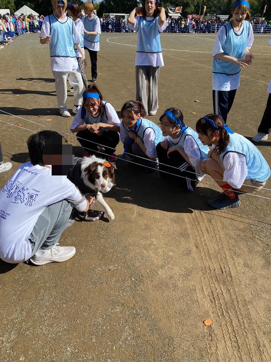 DENDEN_ExWHYZ's tweet photo. まゆちゃんに便乗
思い出いっぱい！
#愛犬の日 https://t.co/m7i8mu3LbG