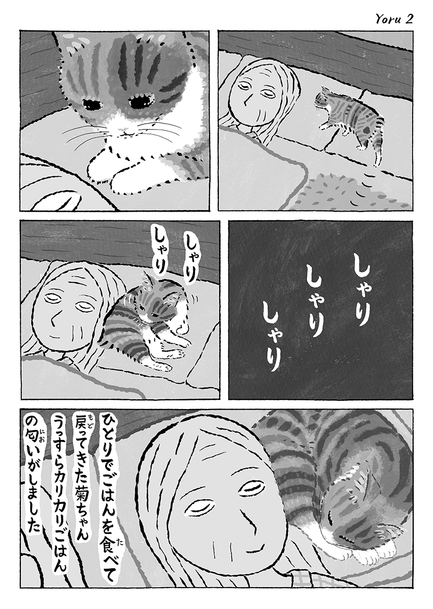 湊文『猫の菊ちゃん』 tweet media