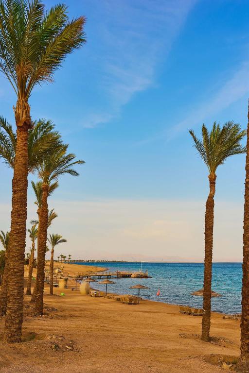 Bashayer Travel tweet media