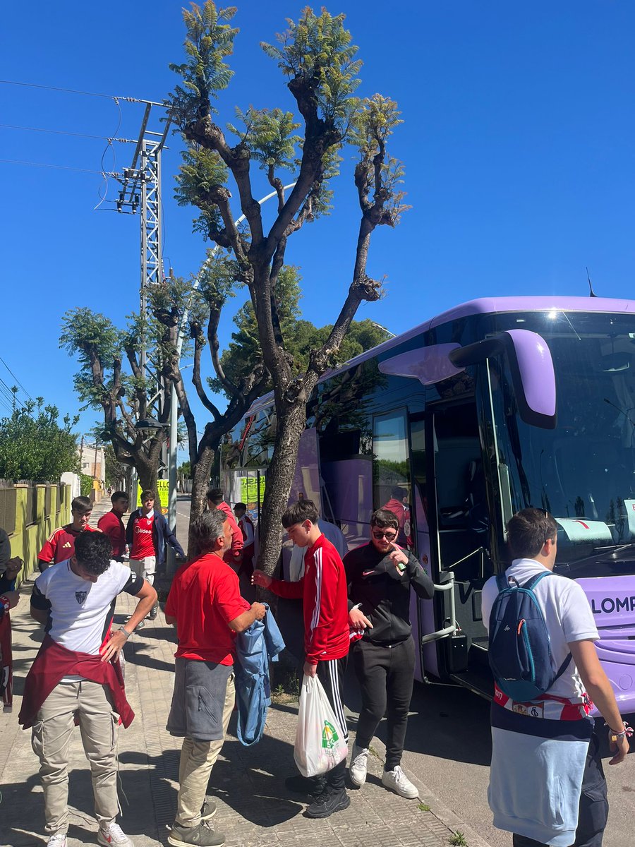 F. Peñas Sevillistas tweet media