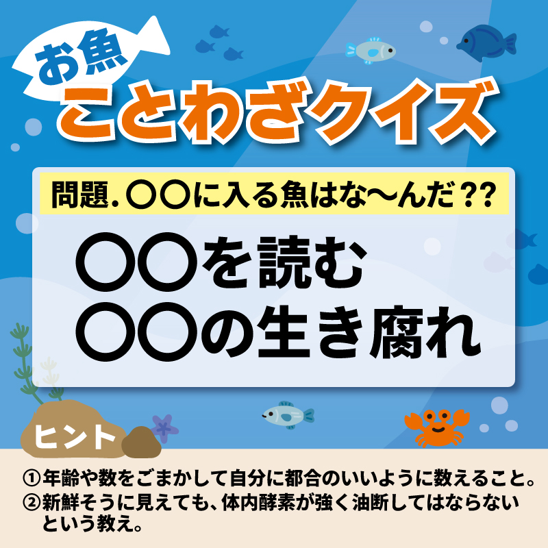 魚　の、何かはわかりませんが、、　二つセット 魚 の、何かはわかりませんが、、 二つセット Quiz] Do you know this
