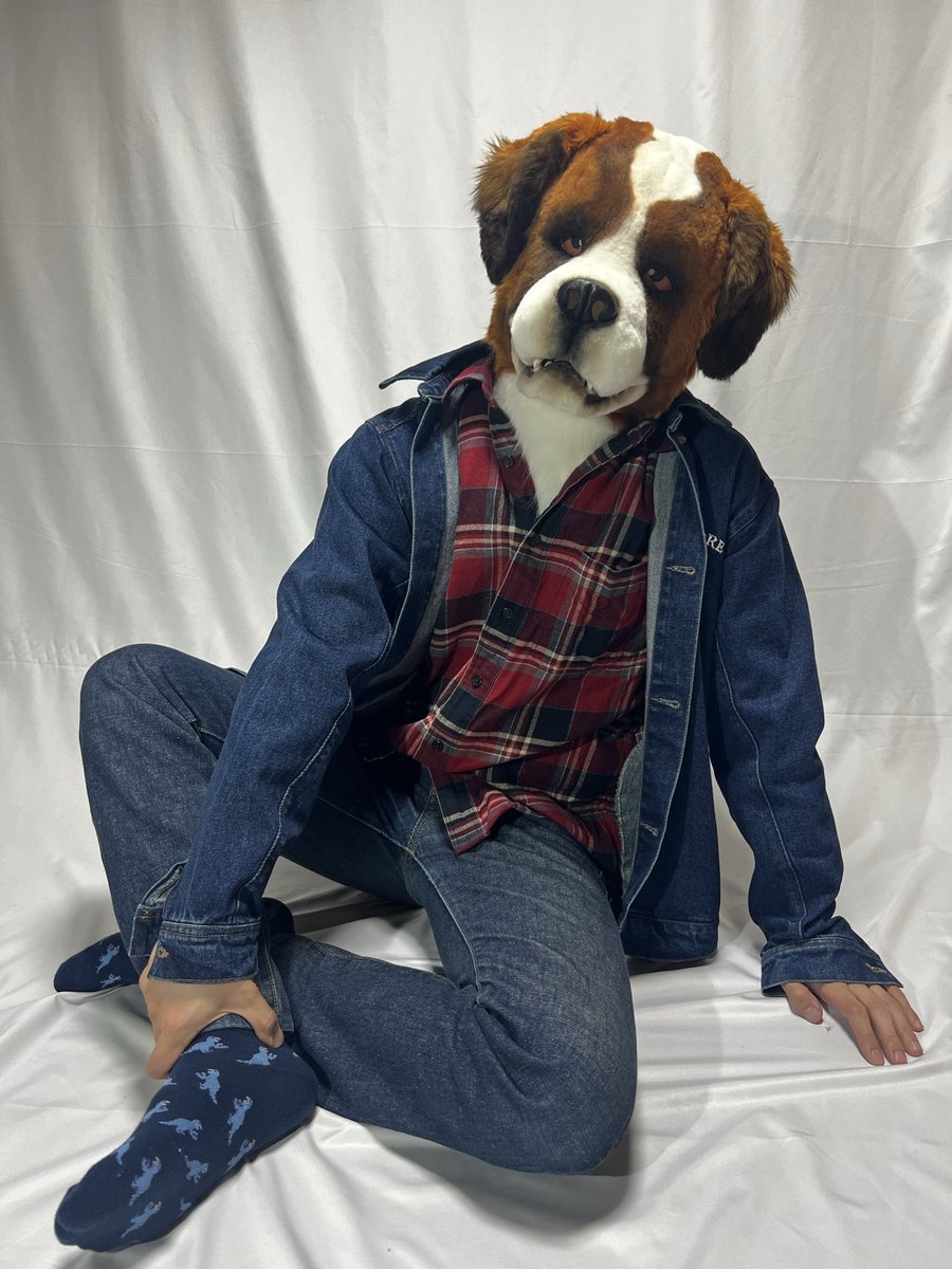 狛杜工房 tweet media