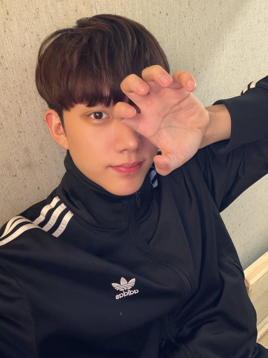 첼 tweet media