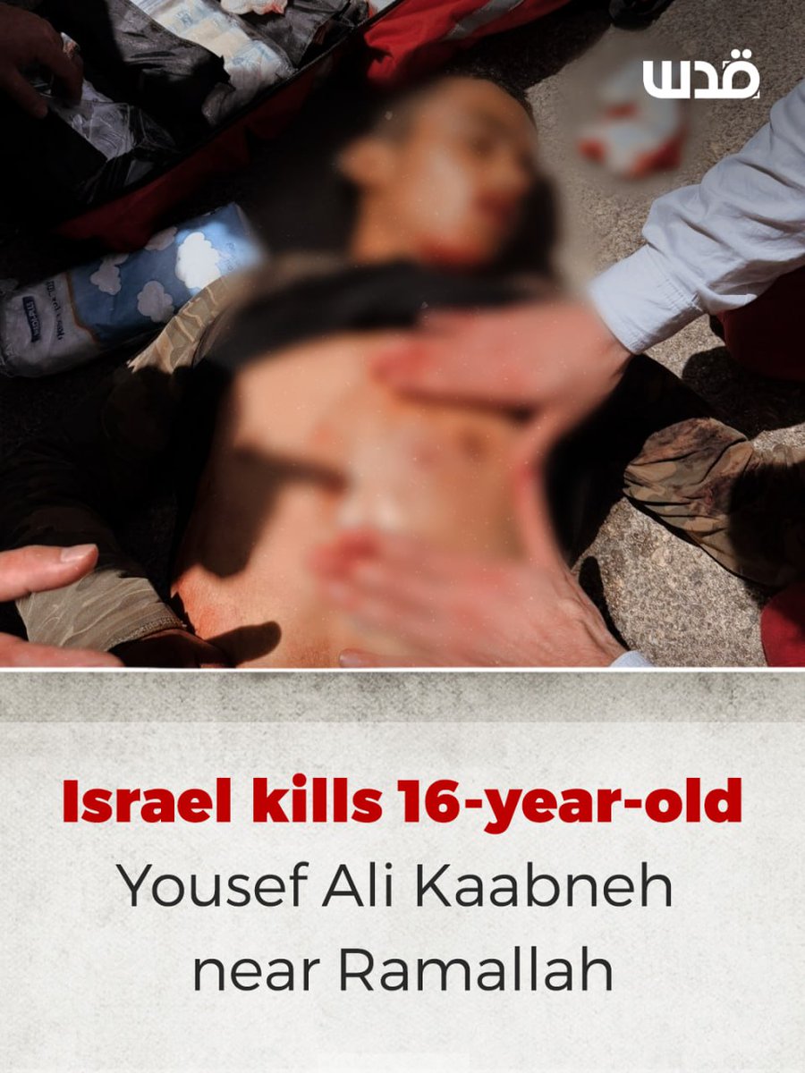 Quds News Network tweet media