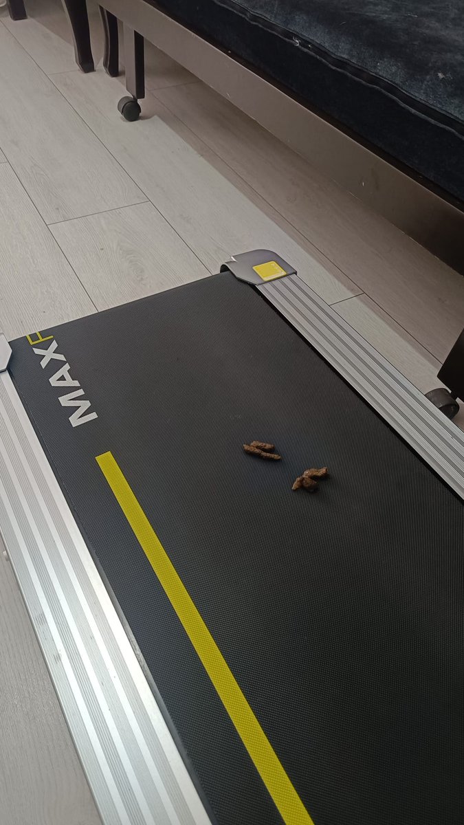 Uğur tweet media