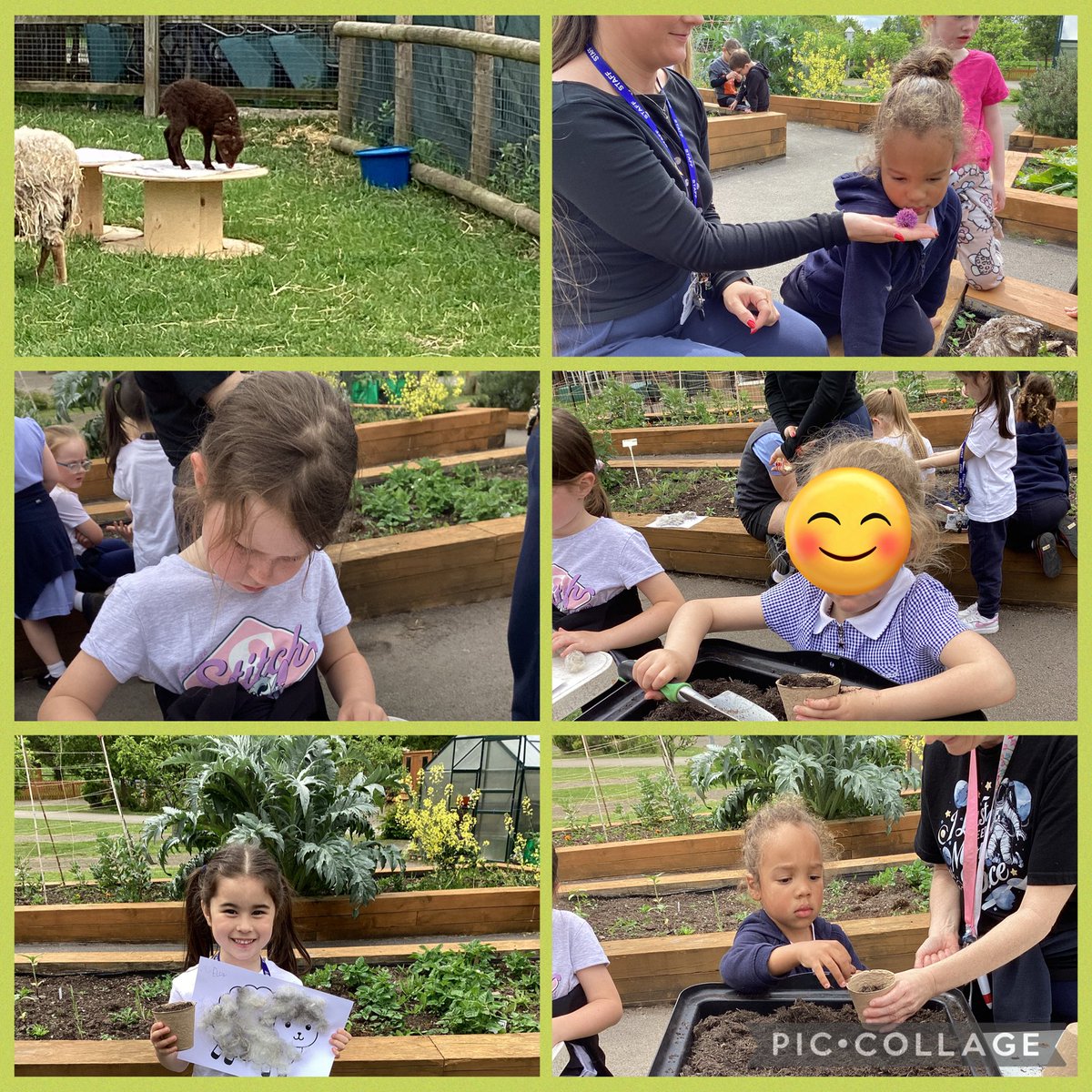 Church Drive Primary School tweet media