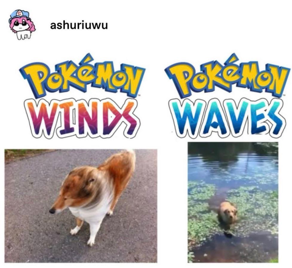 Pokémon Daily tweet media