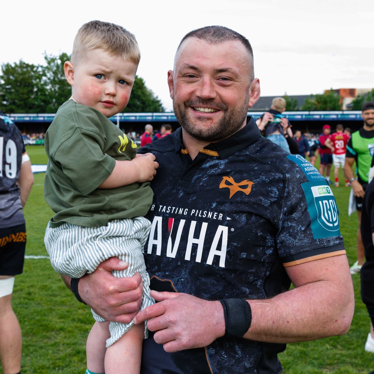Ospreys tweet media