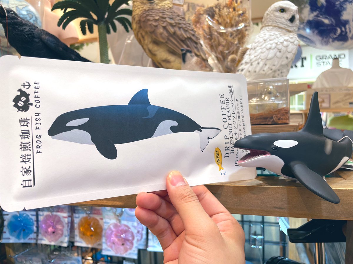 大翔水産様のオーシャンティーバッグ(@ocean_teabag )入荷しました