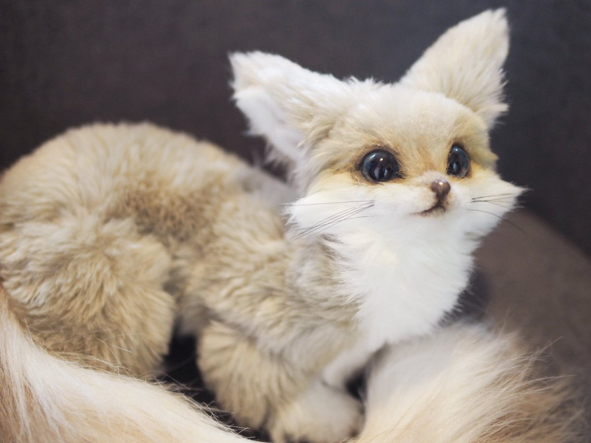 macaronoxou's tweet photo. 新しい子が完成しました！

砂色ちゃんです🦊 https://t.co/rbP47aaksv
