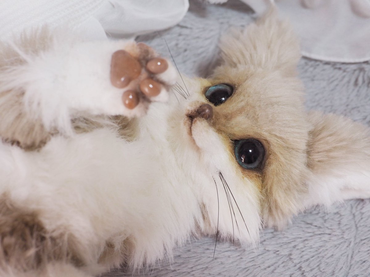 macaronoxou's tweet photo. 新しい子が完成しました！

砂色ちゃんです🦊 https://t.co/rbP47aaksv