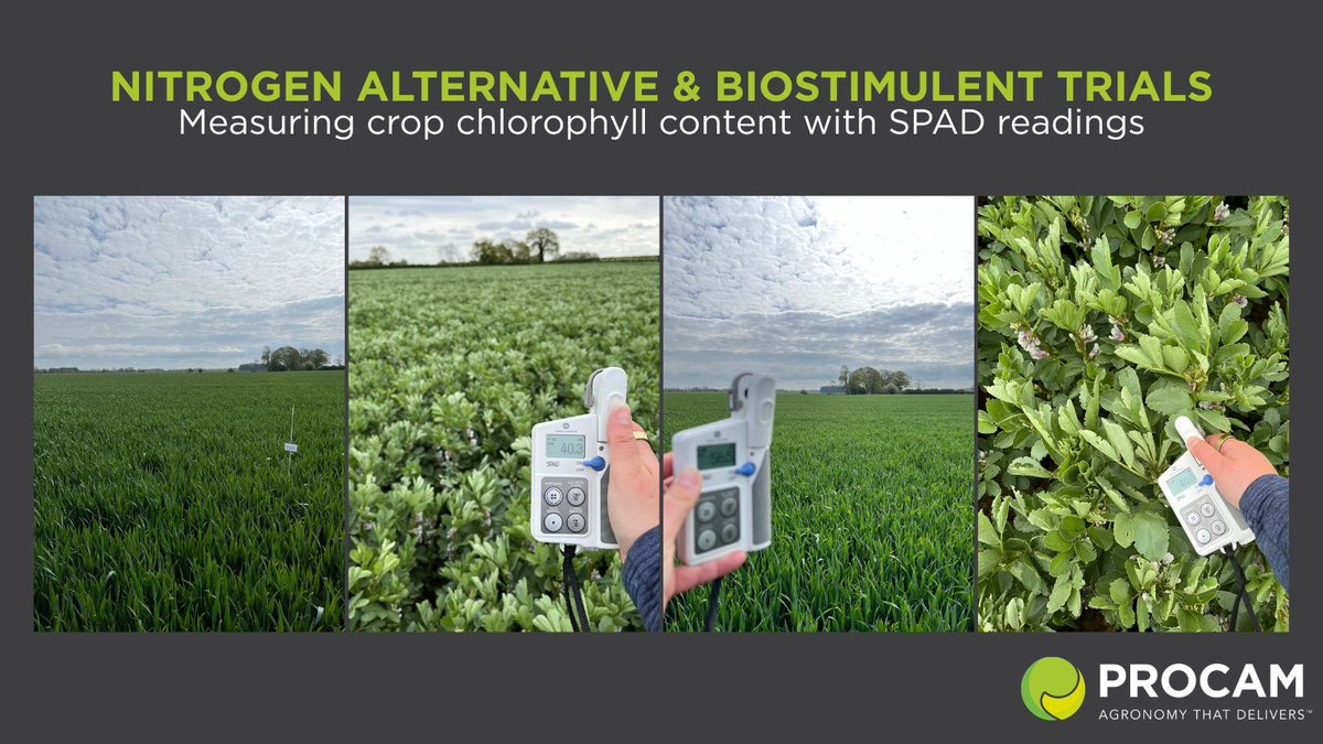 ProCamUK's tweet photo. Our Trials Officer, Becky Tunnicliffe, has been busy assessing crop chlorophyll content across our nitrogen alternative & biostimulant trials. 🌱

With ongoing fertiliser supply uncertainty, these trials are helping us explore practical ways to support crop performance and N efficiency.

Speak to your ProCam agronomist to learn more.

#Agronomy #CropTrials #Nitrogen #Biostimulents