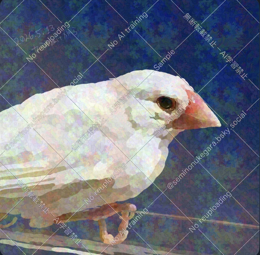 セミのぬけがら𓆦𖠣 (@Mg3Si4O10_OH_2) / Posts / X
